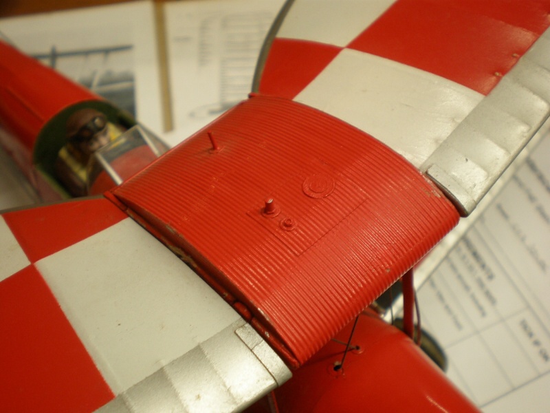 Detail vítěze F4E Tigera Motha.jpg